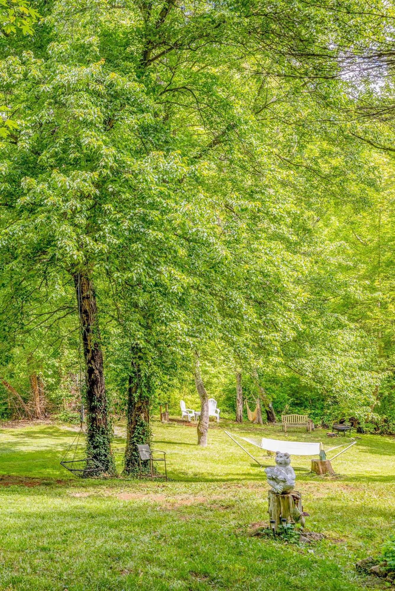 Waterfront Cabin 20 Mins To National Park & Massanutten! Stanardsville Εξωτερικό φωτογραφία