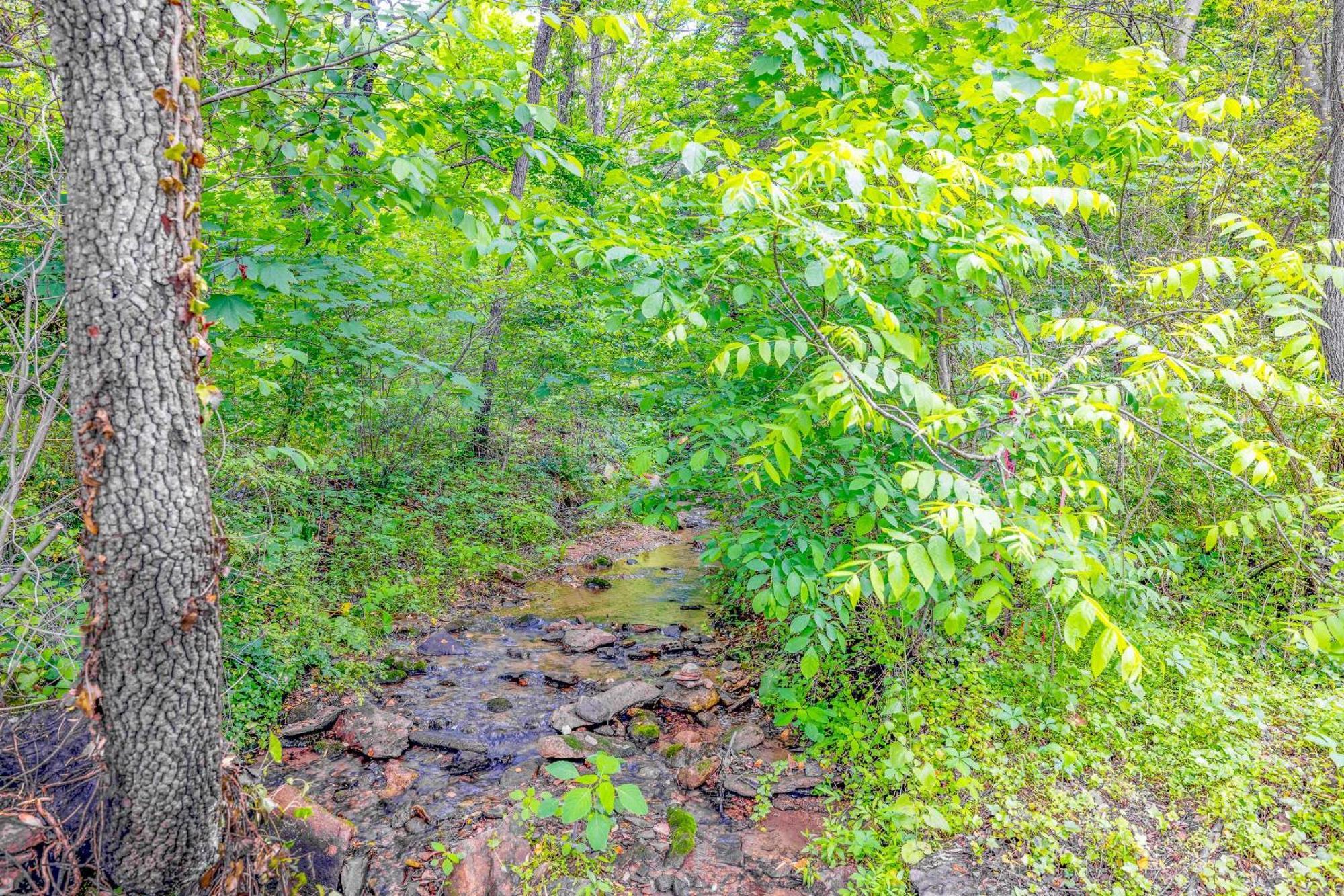 Waterfront Cabin 20 Mins To National Park & Massanutten! Stanardsville Εξωτερικό φωτογραφία